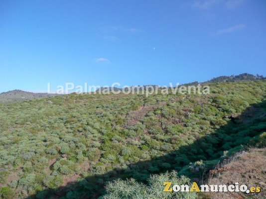 ID-424  Gran terreno en la zona noroeste de la Palma